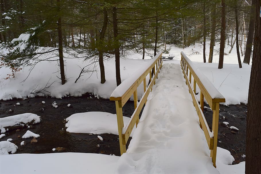 bridge, snow, forest, stream, creek, winter, nature, outdoor HD wallpaper
