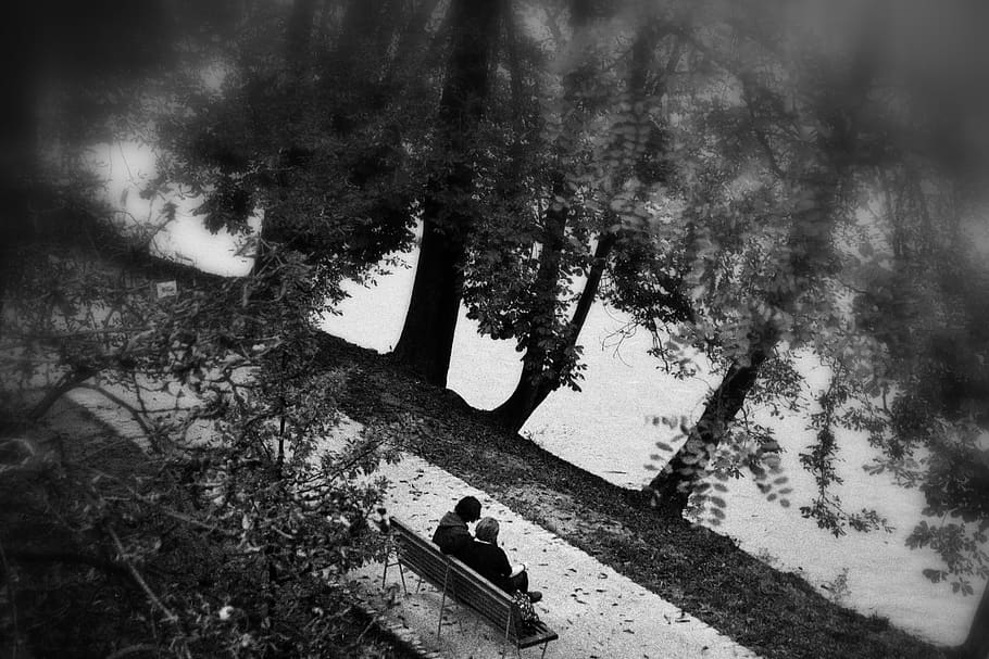 park, bench, path, people, trees, river, water, plant, nature HD wallpaper