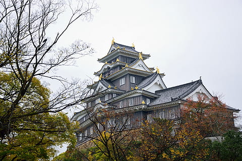 okayama, castle, trees, architecture, building exterior, plant HD wallpaper