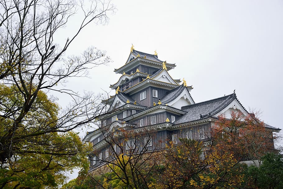 okayama, castle, trees, architecture, building exterior, plant HD wallpaper
