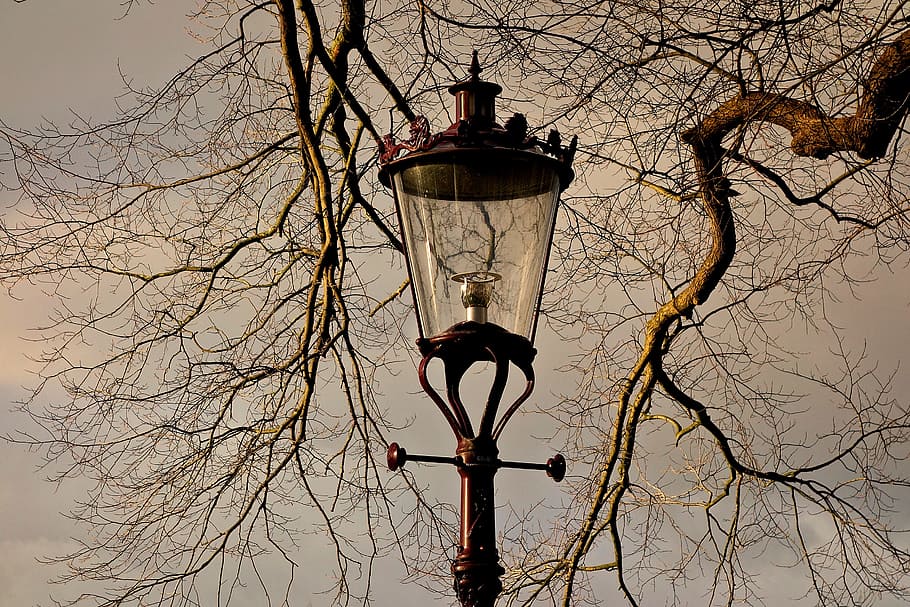 streetlamp, lantern, street lantern, lamppost, light, urban, HD wallpaper