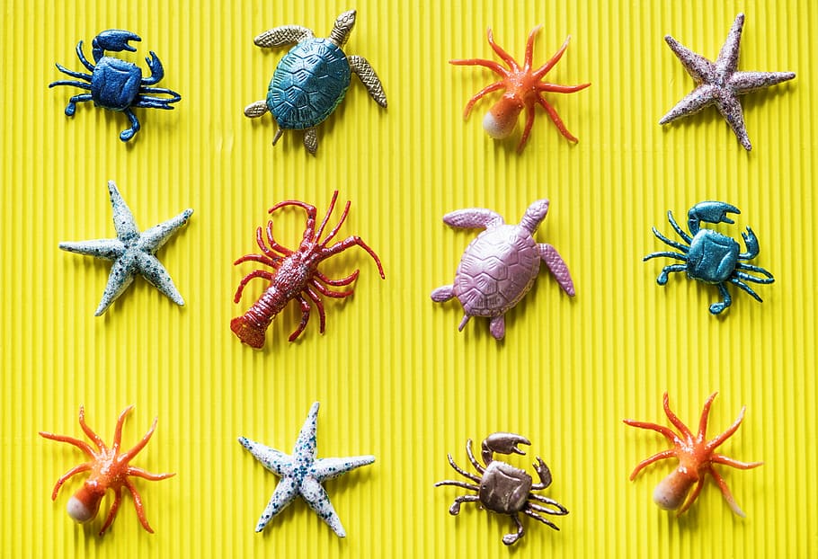 twelve assorted sea creature figurines, toy, repetition, crustation, HD wallpaper