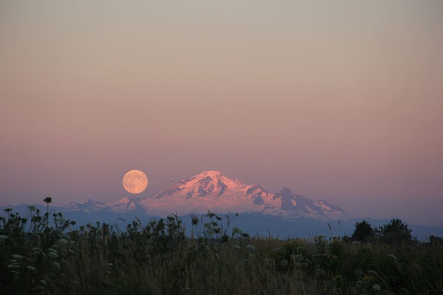 Moonrise Over Mount Baker, snow-covered mountain near trees, full moon HD wallpaper