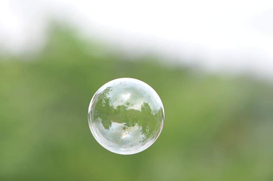 Pop, Fly, little, sphere, green color, grass, focus on foreground HD wallpaper