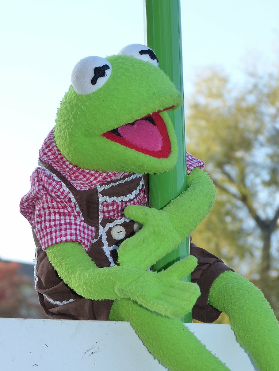 kermit, frog, doll, costume, leather pants, outdoors, winter, HD wallpaper....
