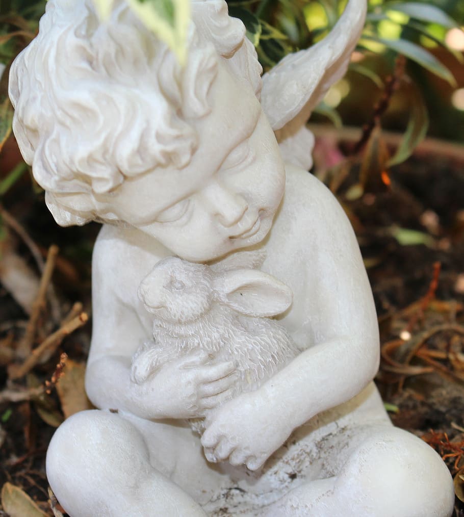 angel, chalk figure, sleeping, harmony, close-up, plant, white color HD wallpaper