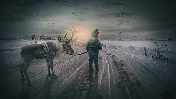 person wearing gray winter coat, wintry, reindeer, boy, small child HD wallpaper