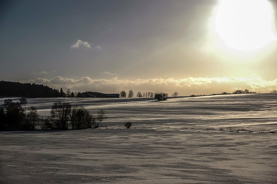 winter, sun, back light, snow, nature, frost, trees, sky, evening sun HD wallpaper