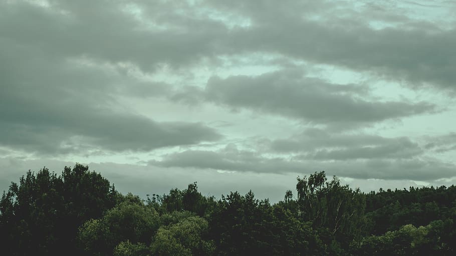 nature, sky, clouds, cloudy, dark clouds, environment, forest HD wallpaper