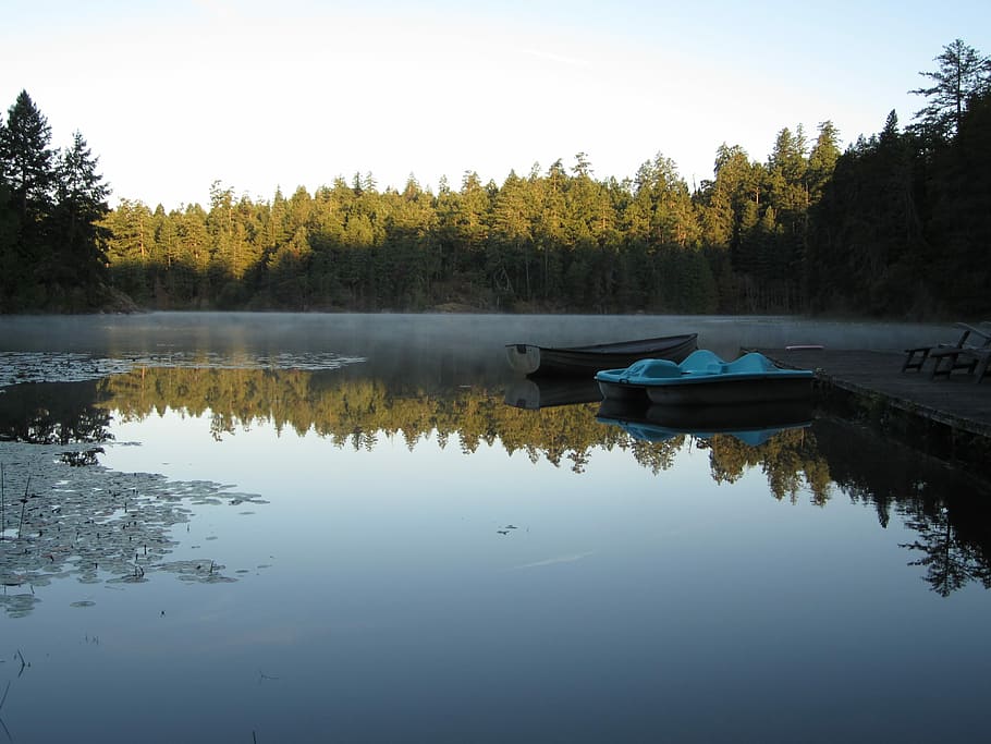 Lake, Fog, Water, Placid, Peaceful, morning, nature, victoria