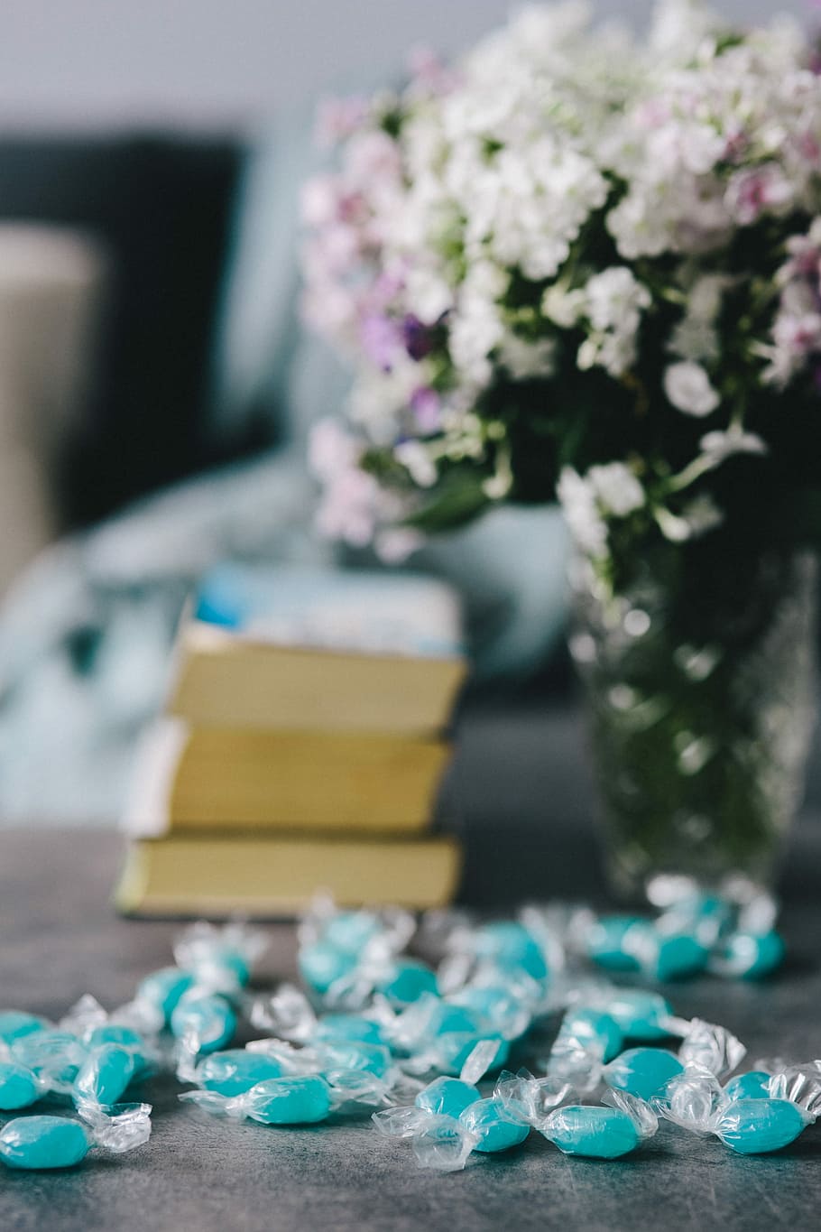 Book and blue candy, flower, flowers, essentials, opened book HD wallpaper