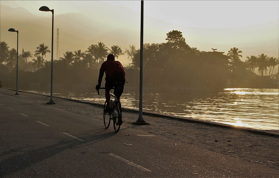 person cycling on asphalt road, light, exercise, pond, shadows HD wallpaper