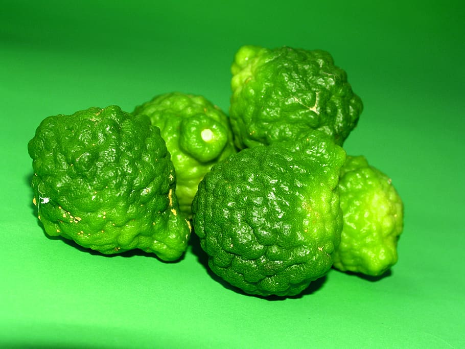 Bergamot, Fruit, Leaf, Isolated, thailand, rough, lemon, natural HD wallpaper