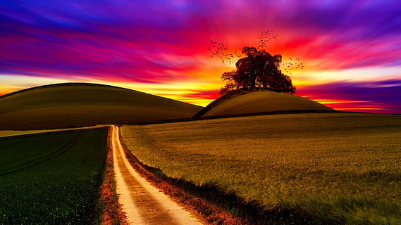 road between field wallpaper, Sunset, Dusk, Beautiful, Landscape HD wallpaper