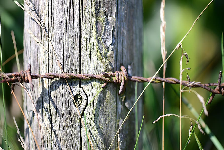 barbed wire, rusty, post, weathered, pasture fence, demarcation HD wallpaper