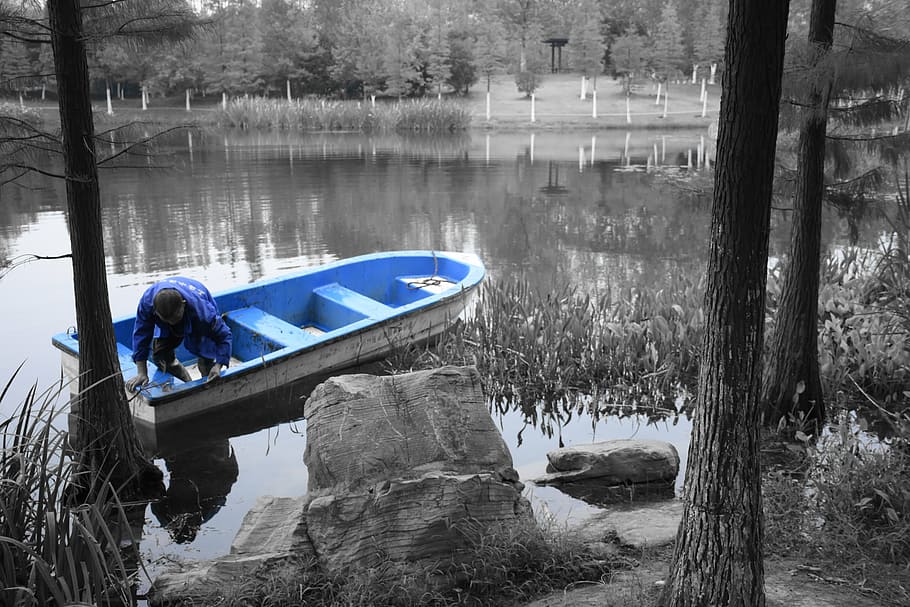 hefei, city, park, water, nautical vessel, tree, lake, transportation HD wallpaper