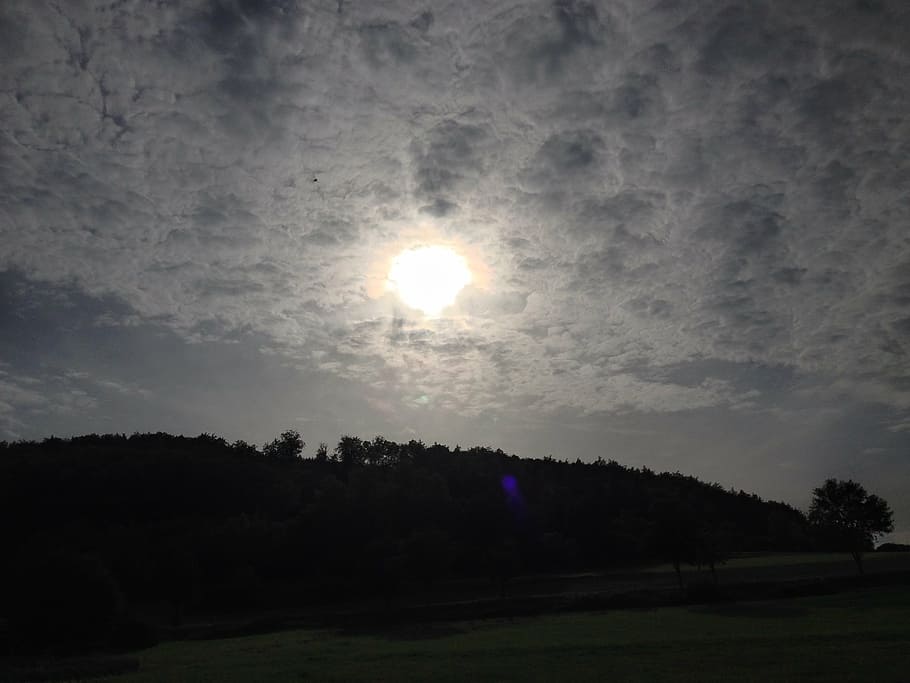 cloud, sunset, clouds, cloudiness, cloudy, sky, tree, plant HD wallpaper