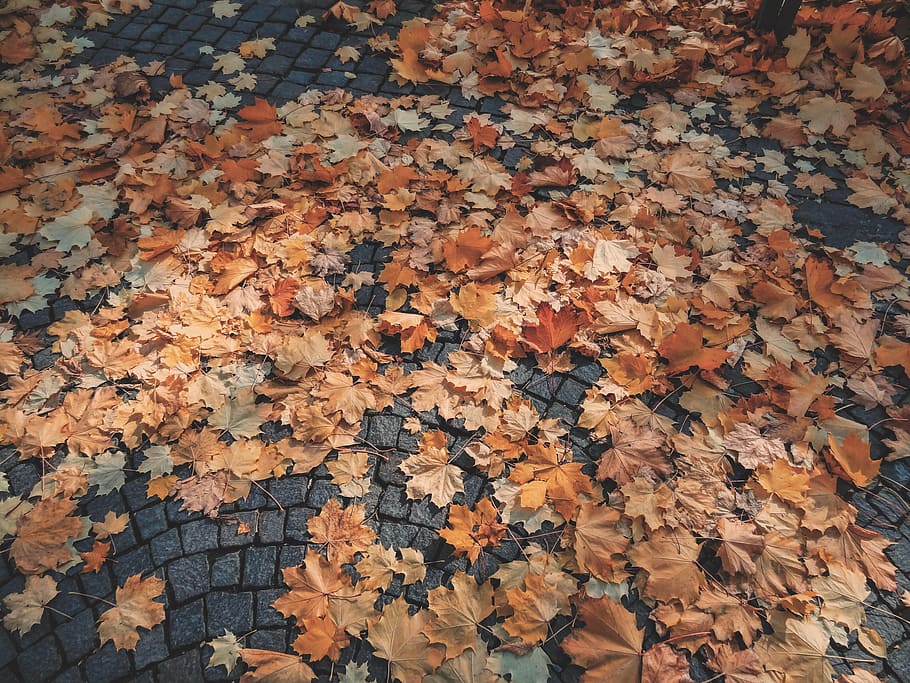 brickwork, cement, color, concrete, design, dirty, fall, ground HD wallpaper