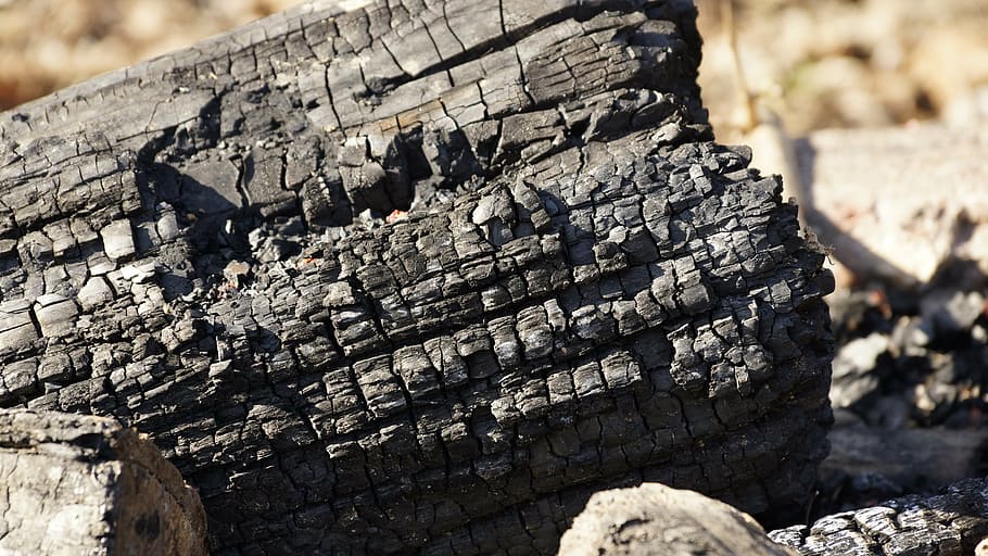 log, wood, tree, trunk, burned, fire, pit, fire pit, charcoal HD wallpaper