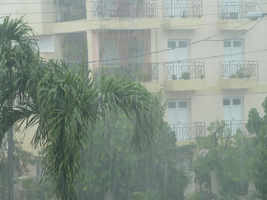 rain, storm, downpour, rainstorm, shiver, wet, strömender rain HD wallpaper