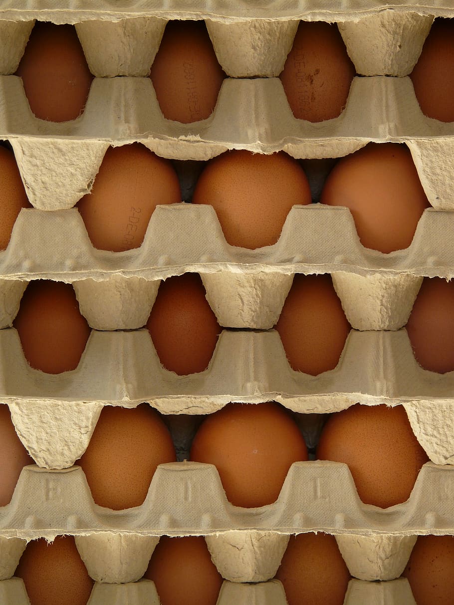 egg, egg box, food, food and drink, healthy eating, freshness HD wallpaper