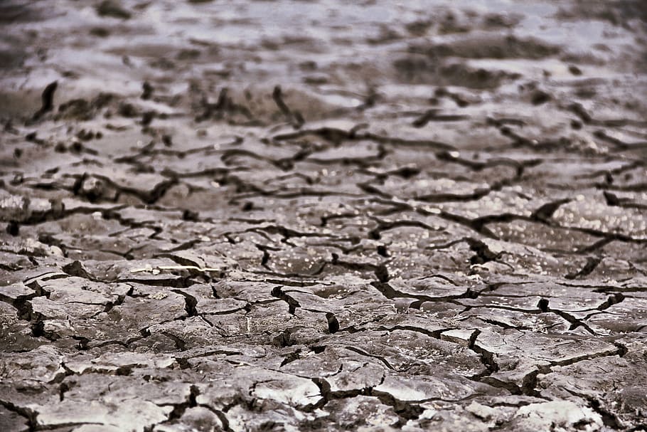 land, crack, dry, cracked, backgrounds, drought, climate, full frame HD wallpaper