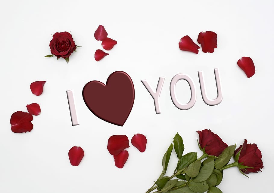 Love Roses Heart 1080P, 2K, 4K, 5K HD wallpapers free download.