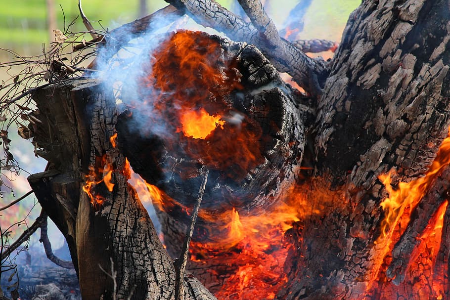 fire, burn, burning, log, flames, hot, heat - temperature, fire - natural phenomenon HD wallpaper
