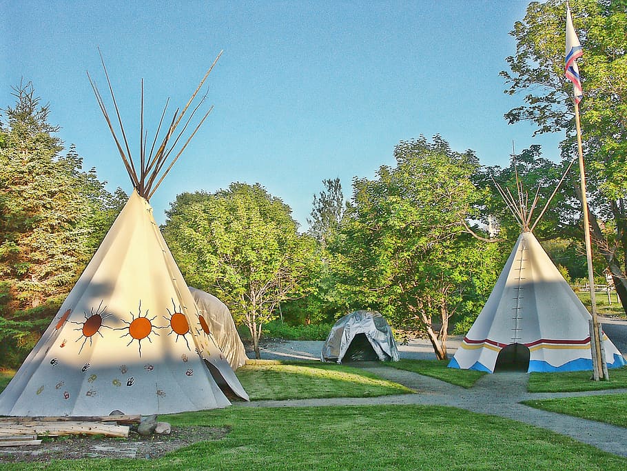 brown teepee tents during daytime, tipi, pow wow, tepee, indian, HD wallpaper