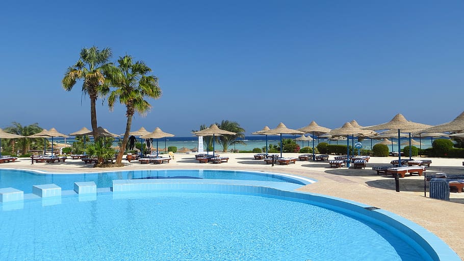 resort during daytime, pool, palm trees, hotel, tables, umbrellas HD wallpaper