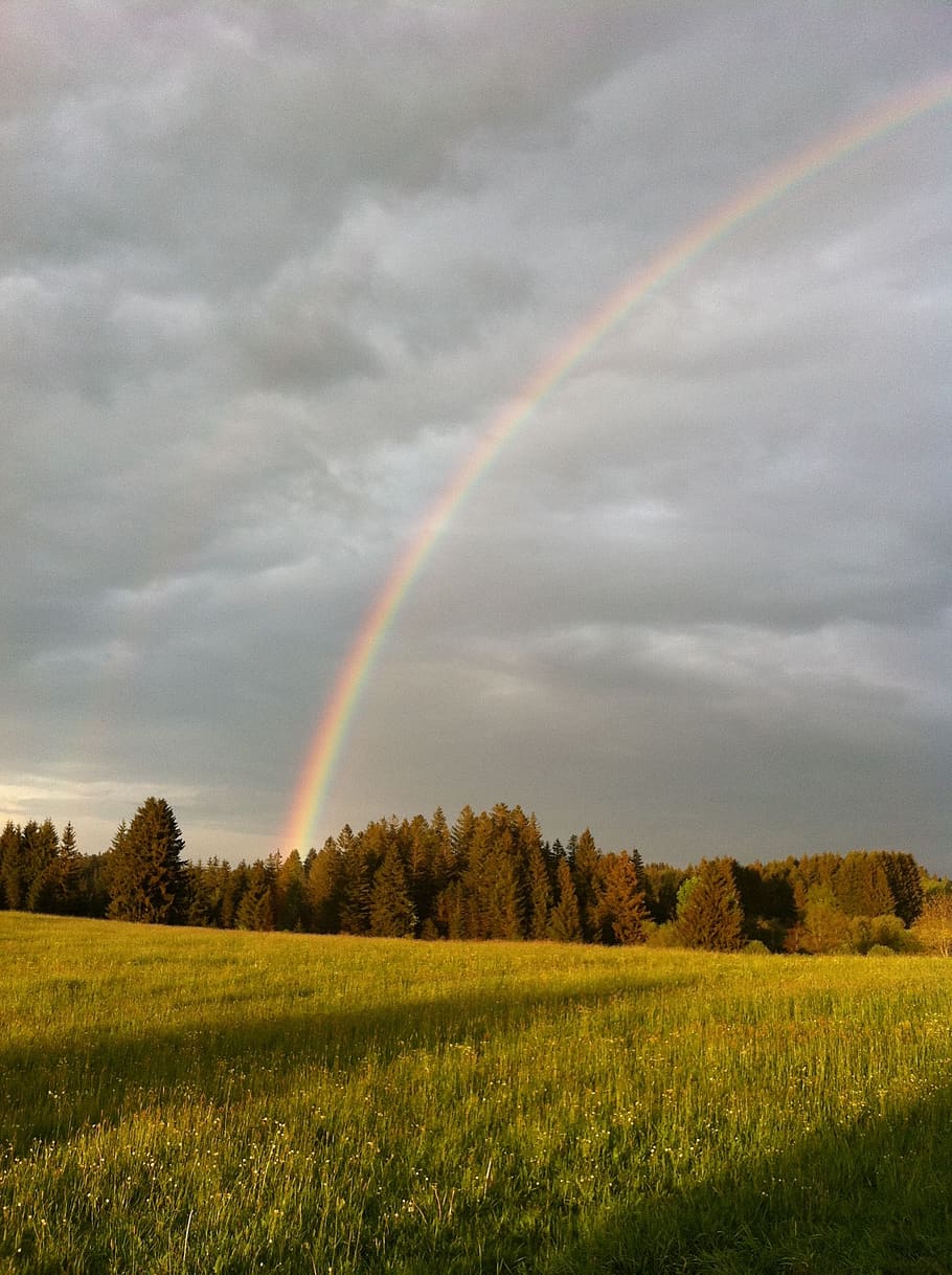 rainbow, nature, mood, sky, clouds, background, natural phenomenon HD wallpaper