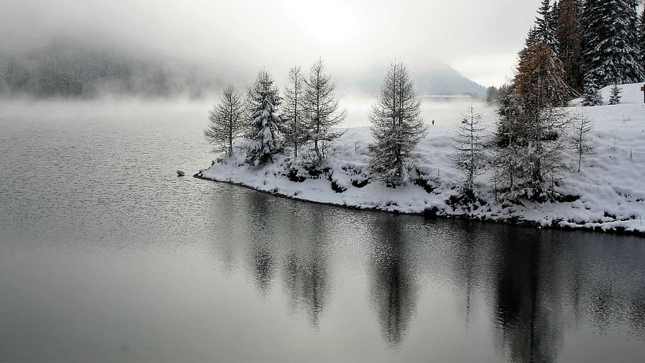 trees beside river during daytime, larch, winter, landscape HD wallpaper