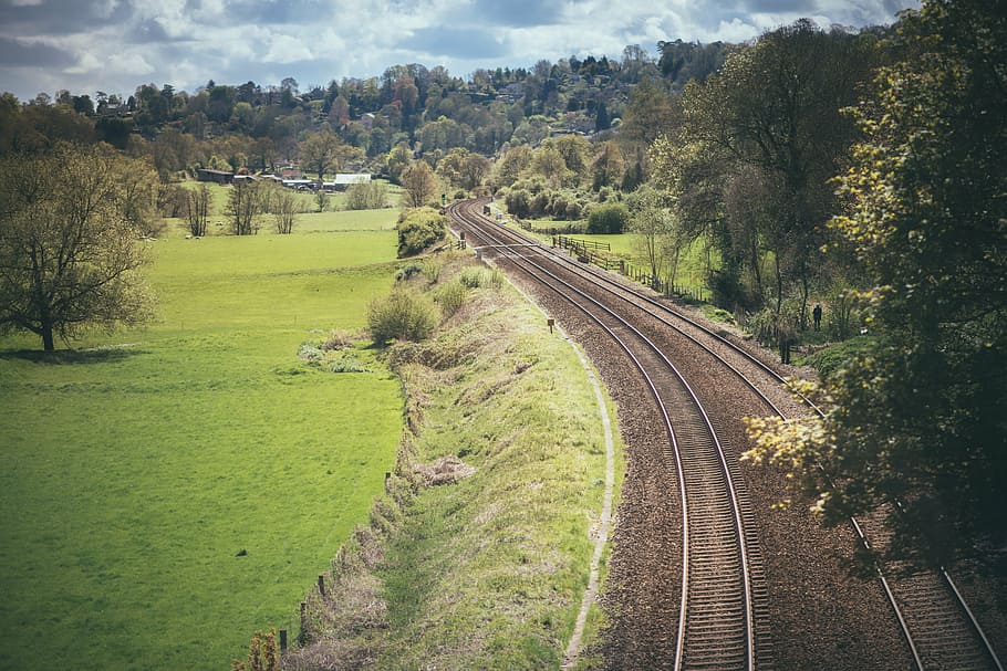road, grassland, forest, plant, tree, rail transportation, track HD wallpaper