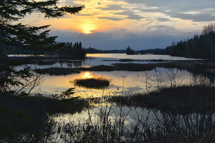 sunset, nature, marsh, evening, landscape, summer light, twilight HD wallpaper