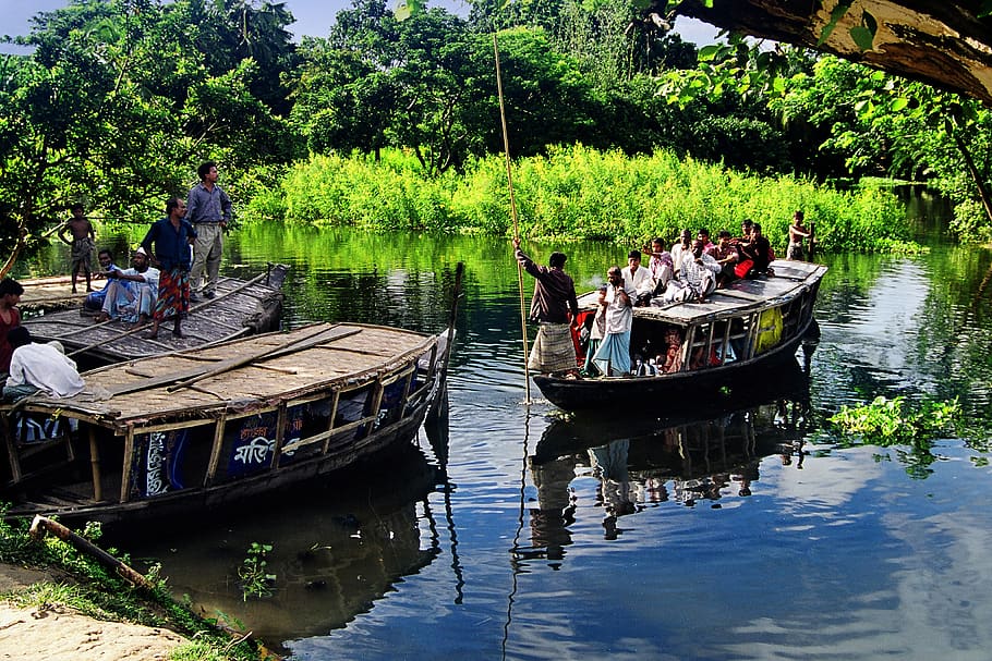 bangladesh, forest, boat, nautical vessel, water, transportation, HD wallpaper