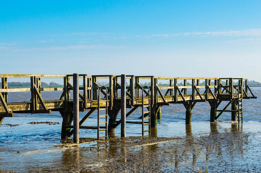 Web, Eider, Ebb, Blue Sky, Watts, sea, outdoors, day, nature HD wallpaper