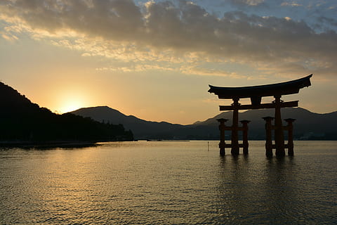 tori gate in body of water during golden hour, shrine, torii HD wallpaper