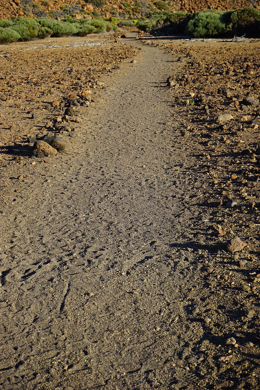 Away, Path, Trace, Migratory, Trail, migratory path, tenerife HD wallpaper