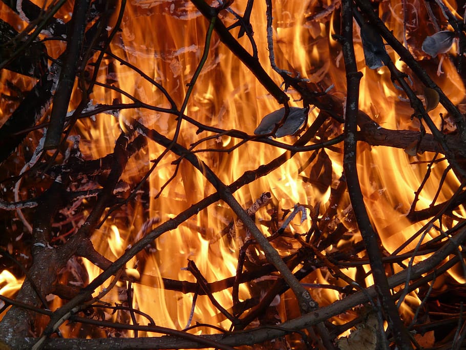 fire, flame, brand, burn, firelight, embers, hot, branches HD wallpaper