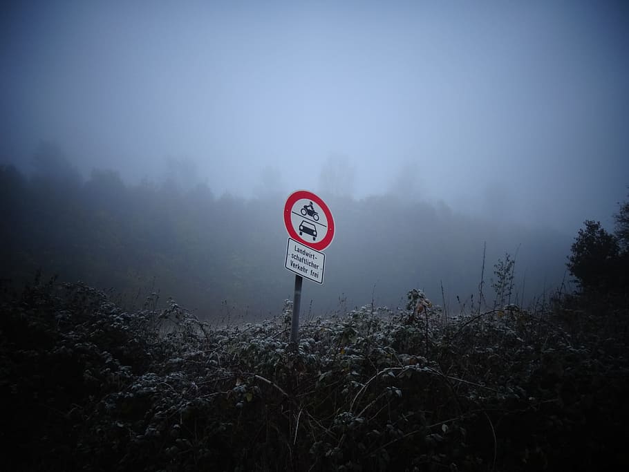 Fog, Nature, Shield, Note, Blue, Grey, tree, warning sign, red HD wallpaper