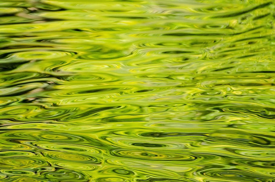 water, background, pattern, green, close-up, element, full frame HD wallpaper