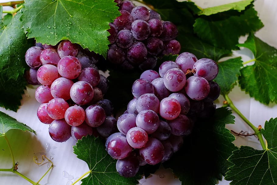 Grape Fruits, bunch, cluster, delicious, food, fresh, grapes, HD wallpaper