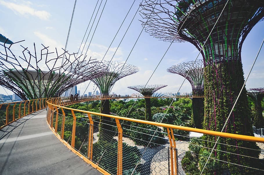 Singapore landmark, yellow bridge photography, flower, building HD wallpaper