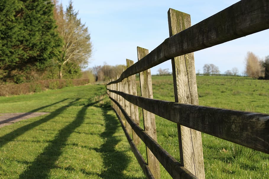 lines, fence, shadows, grass, plant, field, boundary, barrier HD wallpaper