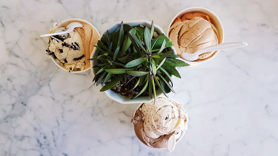 flat lay photography of ice cream cups beside potted plant, flat lane photography of ice creams near plant HD wallpaper