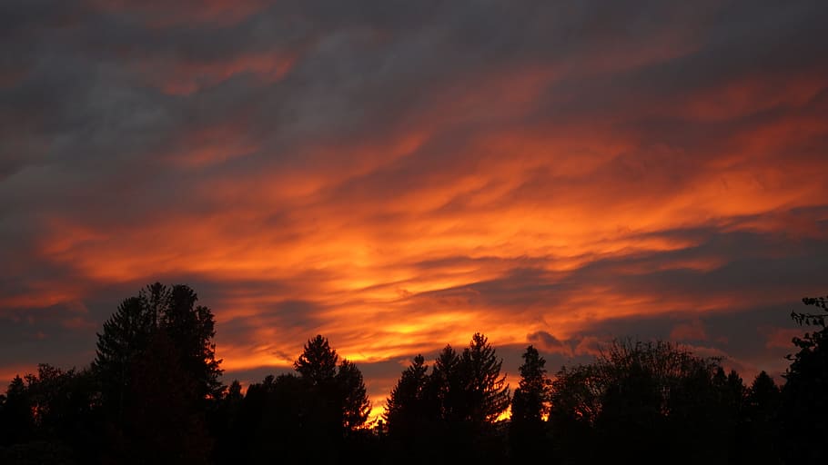afterglow, clouds, abendstimmung, evening sky, sunset, trees HD wallpaper