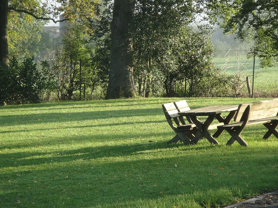 picnic table at the park during daytime, bank, wooden bench, garden