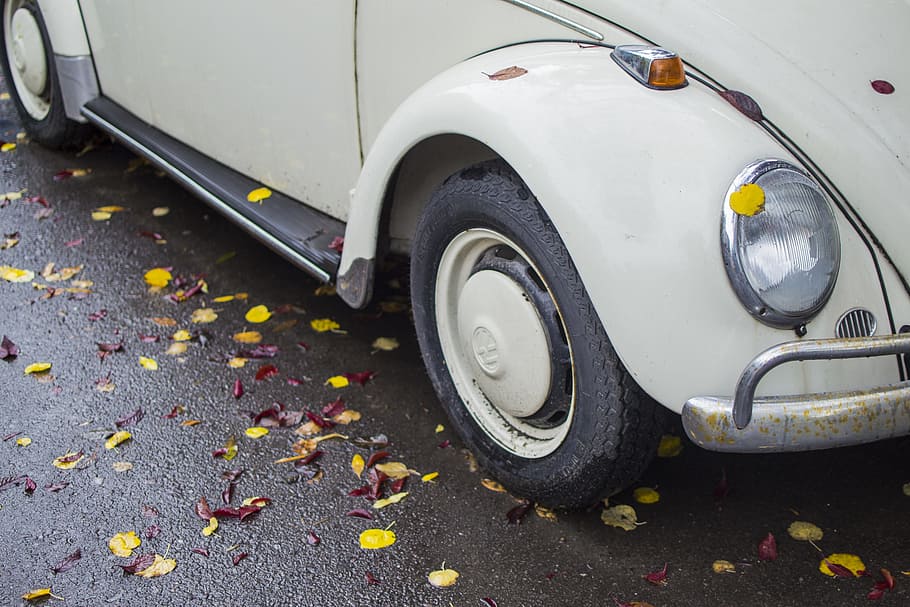 leaves, car, leaf, green, symbol, volkswagen, autumn, vibes HD wallpaper