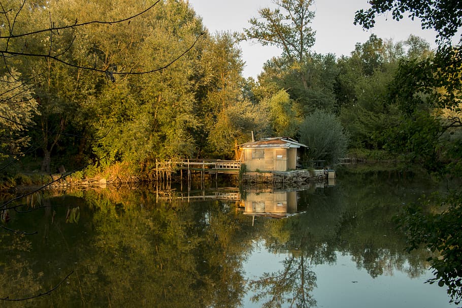 house, river, water, trees, nature, slovakia, creek, clear HD wallpaper