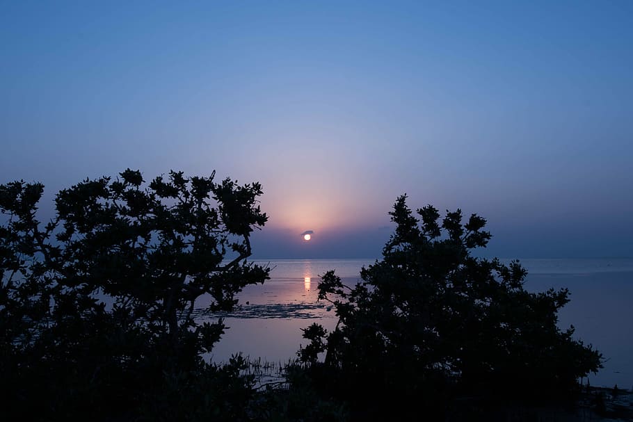Sunset, Southern, Saudi Arabia, Evening, sea, horizon, silhouettes, HD wallpaper